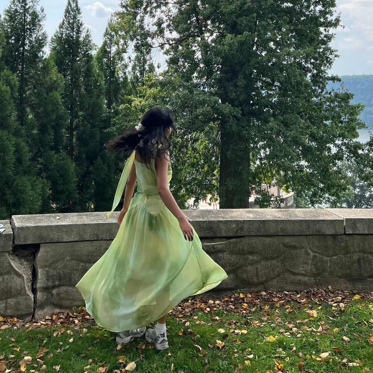 Gardenia Green Dress